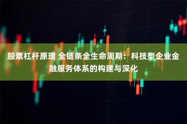 股票杠杆原理 全链条全生命周期：科技型企业金融服务体系的构建与深化